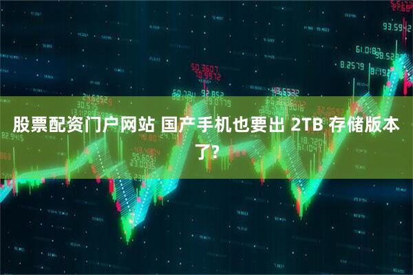 股票配资门户网站 国产手机也要出 2TB 存储版本了?