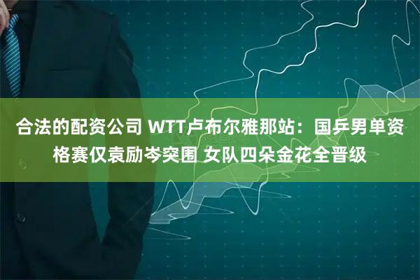 合法的配资公司 WTT卢布尔雅那站：国乒男单资格赛仅袁励岑突围 女队四朵金花全晋级